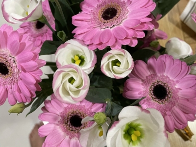 Mrs.Vang - Intrepid Việt Nam